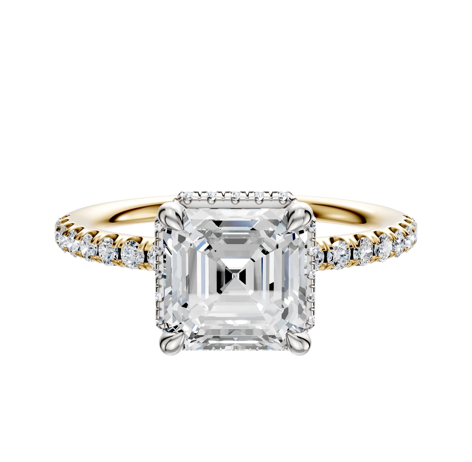 14K Two Tone 4 Prong Collar Classic Dome 1-Row-Pave 2.5mm Engagement Ring